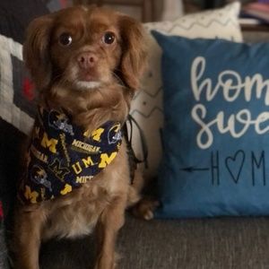 Meet your Posher, Carmelarr